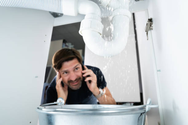 Best Local Plumber Services  in Shorewood Forest, IN